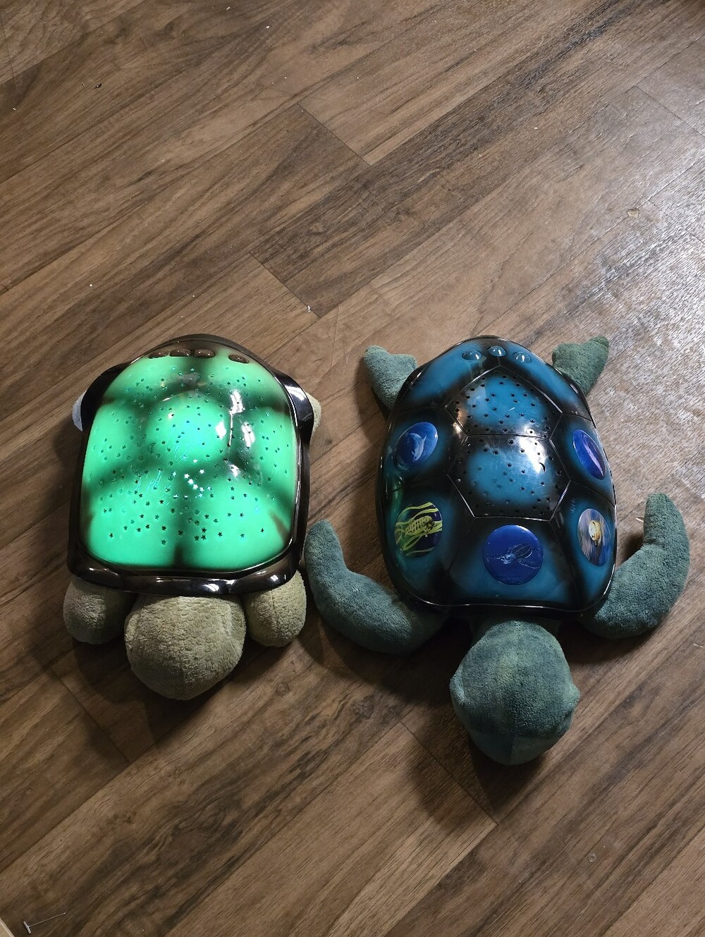 2pc Cloud B twilight light sea turtle